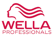 wella-produkte-schnittstell-glarus-nord wella-produkte-schnittstell-glarus-nord